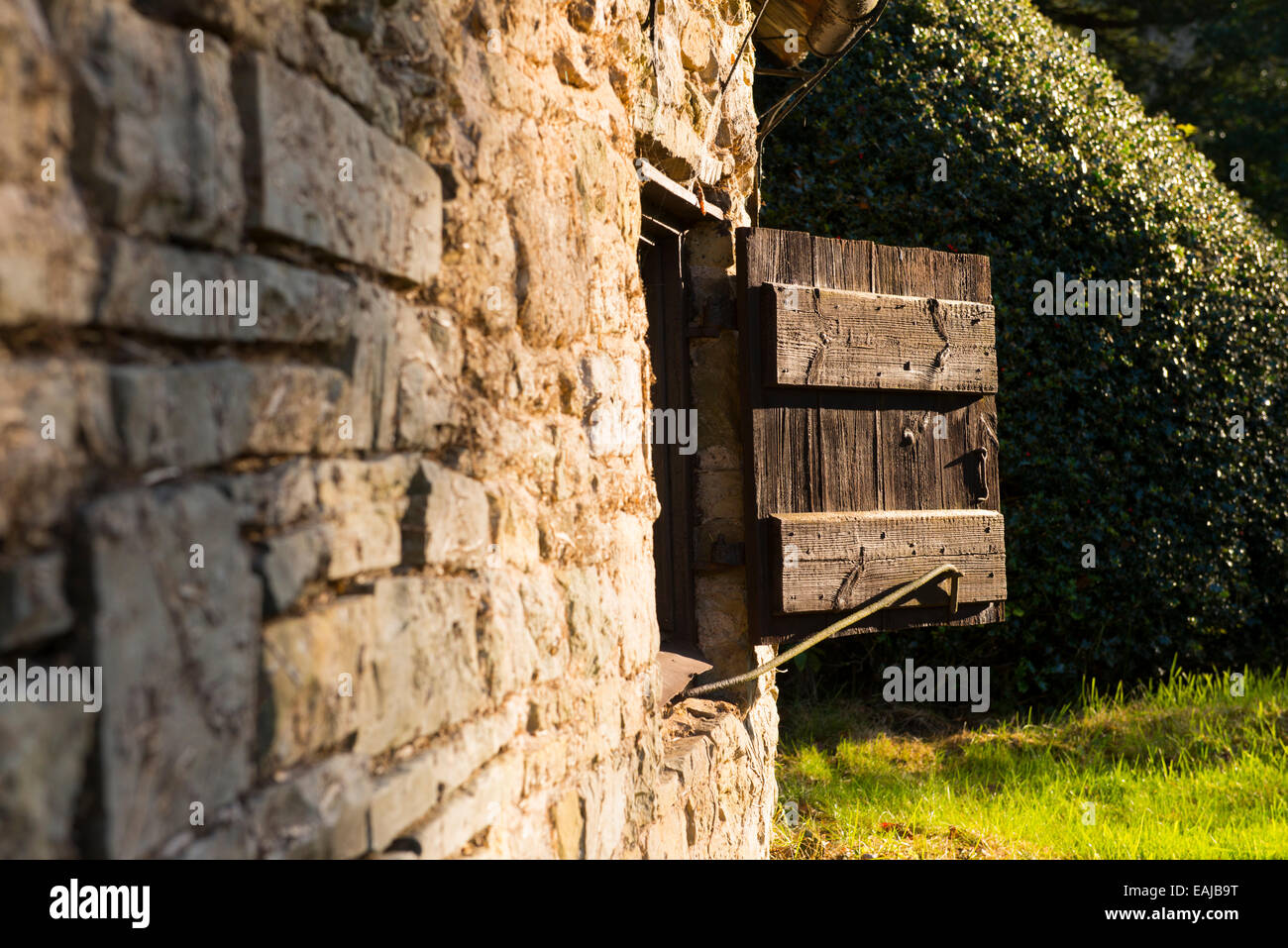 Luce del sole serale mette in evidenza una persiana nel villaggio di Cardington, Shropshire, Inghilterra. Foto Stock