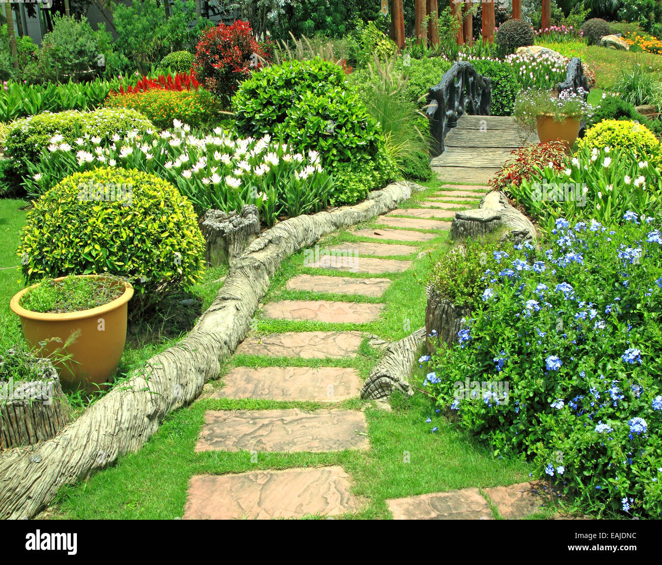 Verde Naturale Flower Garden Questo costituisce lo sfondo Foto Stock