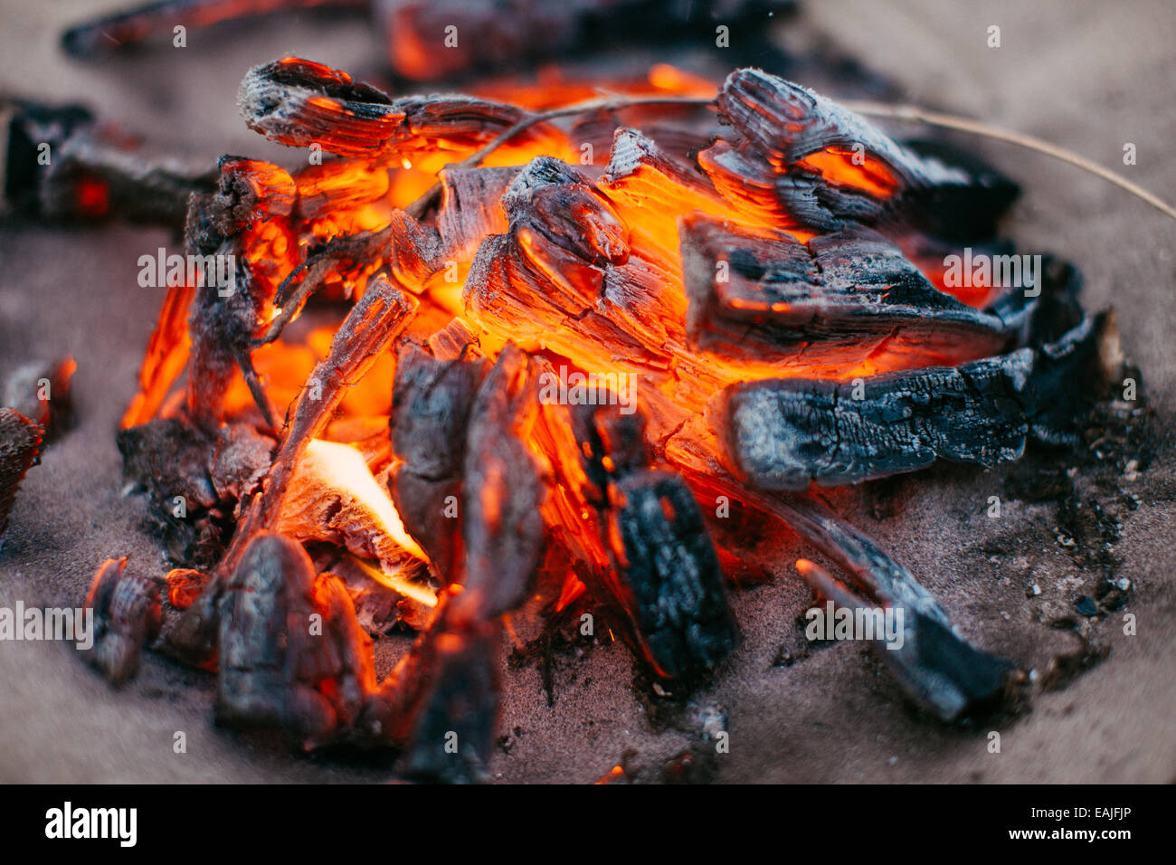Campfire closeup Foto Stock