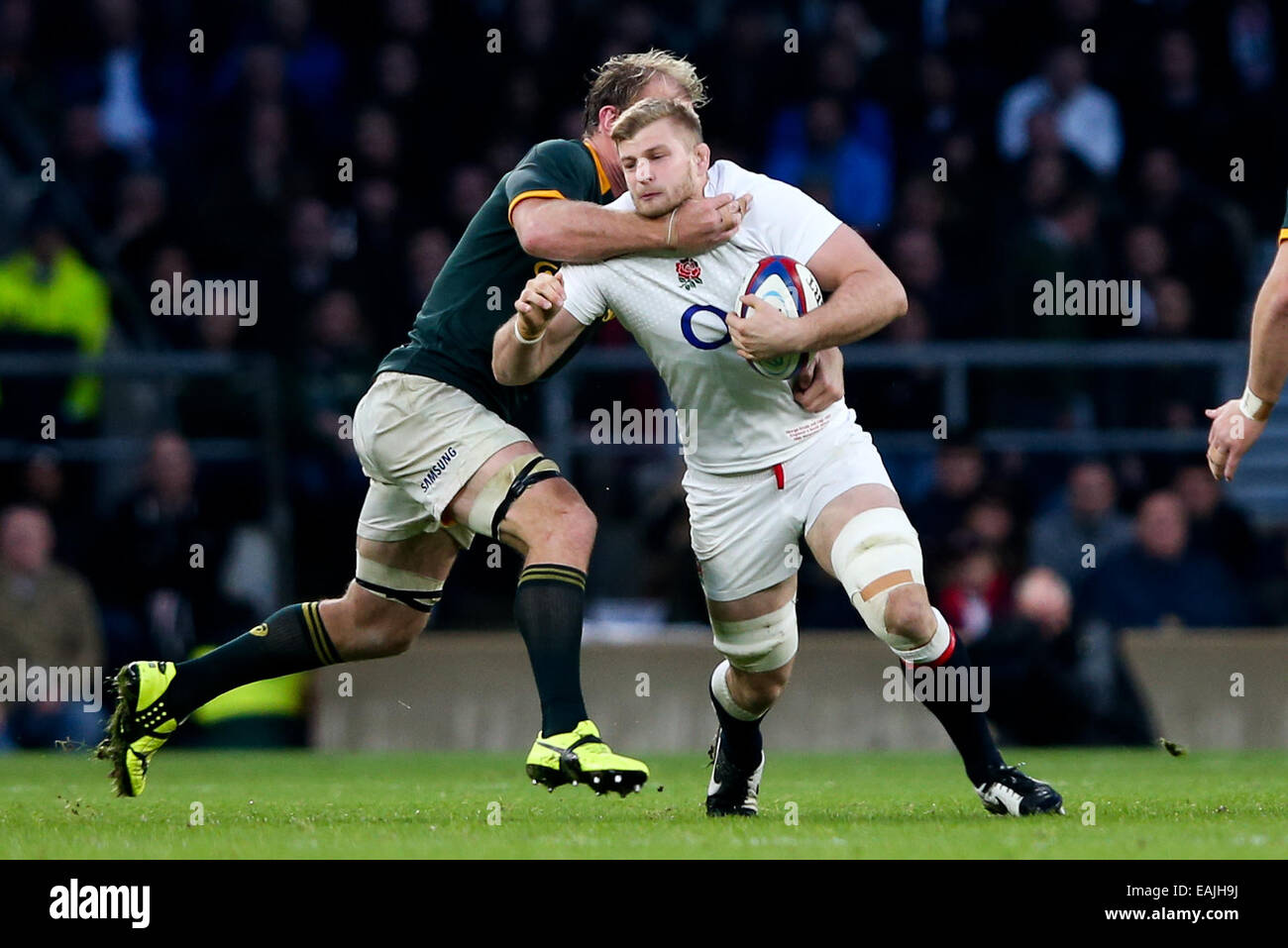 Londra, Regno Unito. Xv Nov, 2014. Del Sudafrica Schalk Burger mette in un alto affrontare in Inghilterra del George Kruis - Autunno QBE intenzionali - Inghilterra vs Sud Africa - Twickenham Stadium - Londra - 15/11/2014 - Pic Charlie Forgham-Bailey/Sportimage. © csm/Alamy Live News Foto Stock