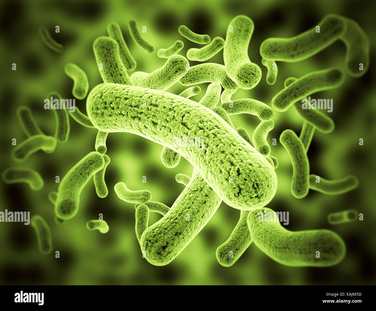 Gruppo di batteri cell. Focolaio epidemico Foto Stock