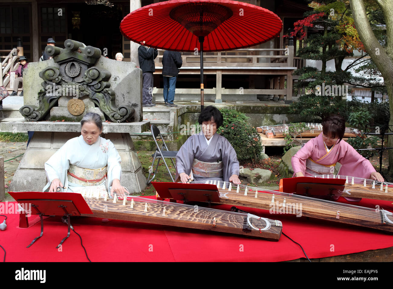 Le donne giapponesi in kimono giocando koto (Giapponese tradizionale strumento) nel giardino giapponese Foto Stock