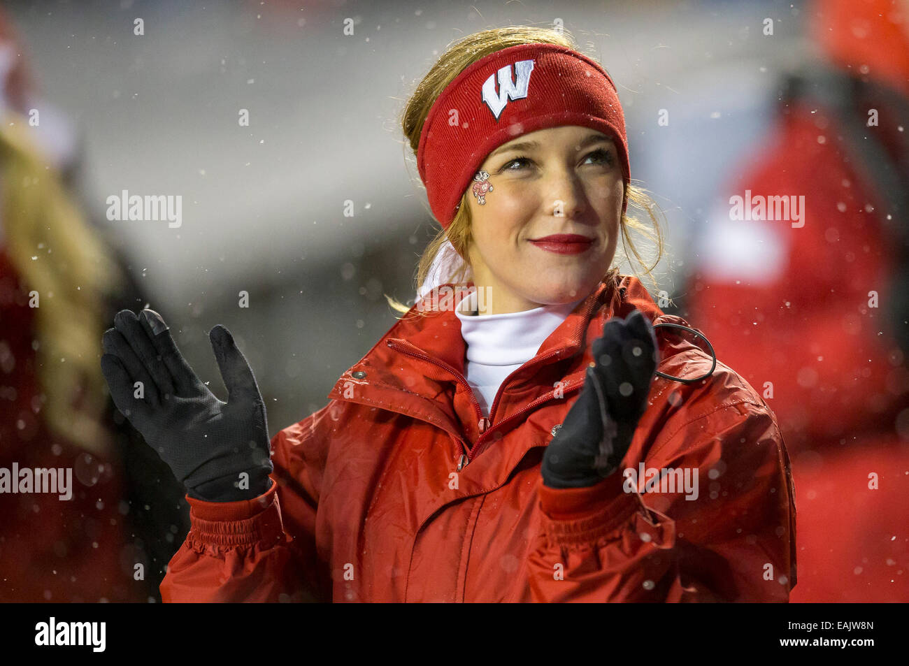 15 novembre 2014: Wisconsin cheerleader durante il NCAA Football gioco tra il Nebraska Cornhuskers e Wisconsin Badgers a Camp Randall Stadium di Madison, WI. Wisconsin sconfitto Nebraska 59-24. John Fisher/CSM Foto Stock