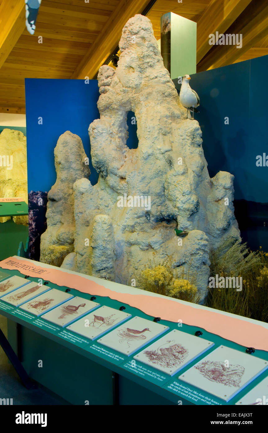 Visitor Center display, Mono Basin National Forest Scenic Area, Mono Lago di tufo Riserva Statale, California Foto Stock