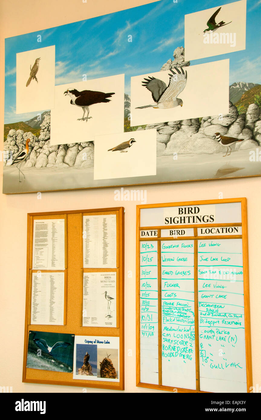 Visitor Center display, Mono Basin National Forest Scenic Area, Mono Lago di tufo Riserva Statale, California Foto Stock
