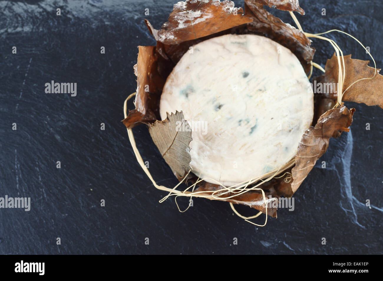 Formaggio di Banon avvolto con foglie di colore nero sulla lastra di pietra Foto Stock