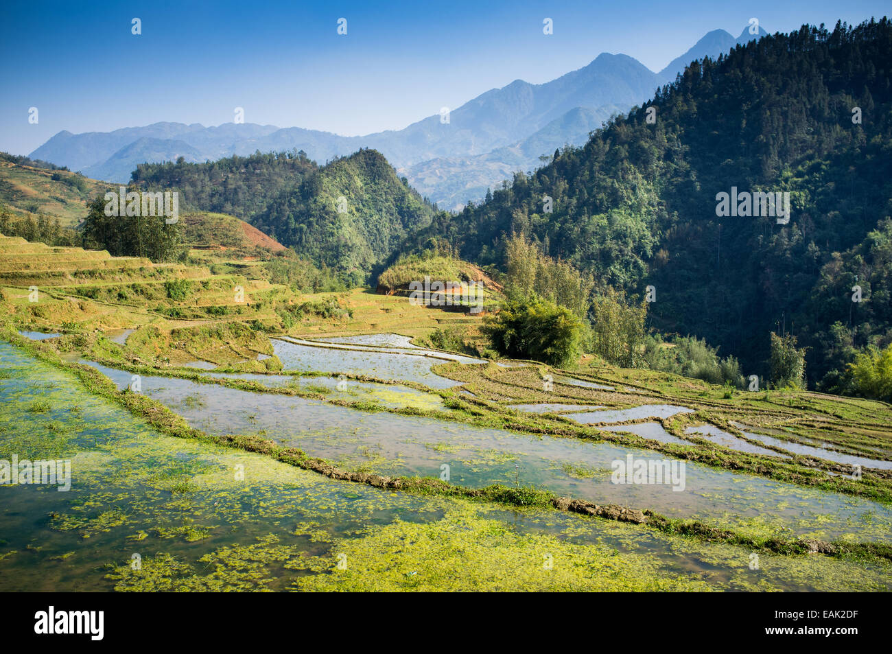 Catcat Villaggio Culturale vicino a SAPA, Vietnam Foto Stock
