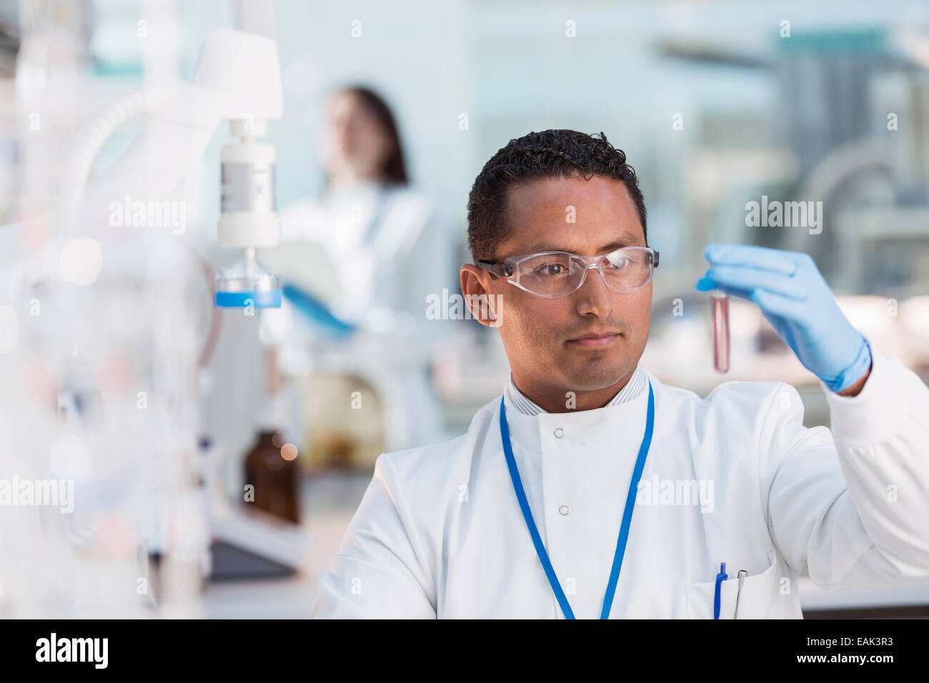 Scienziato esaminando provetta di test in laboratorio Foto Stock