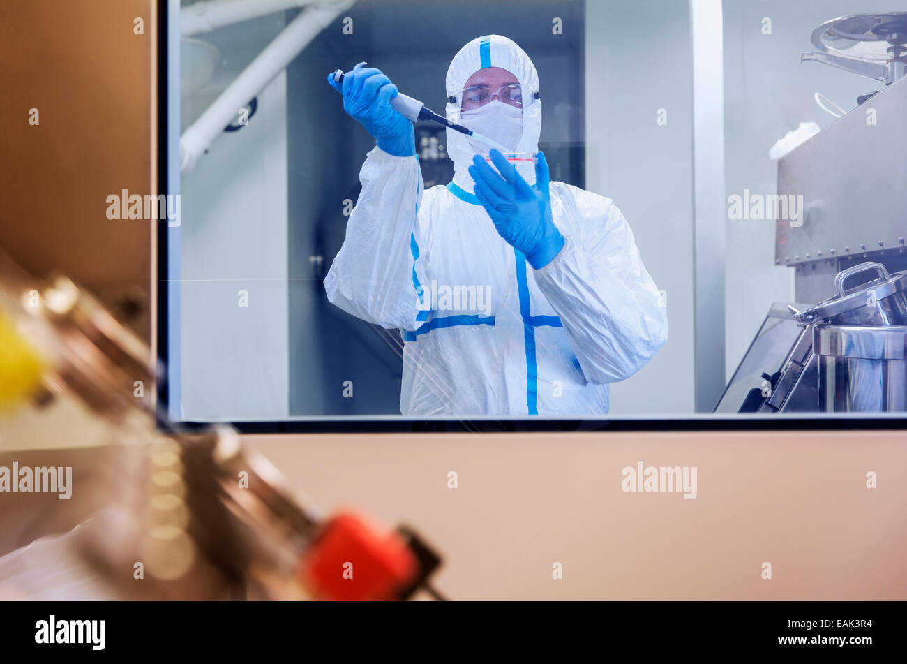 Scienziato in clean suit il pipettaggio di campione nella scatola di Petri in laboratorio Foto Stock