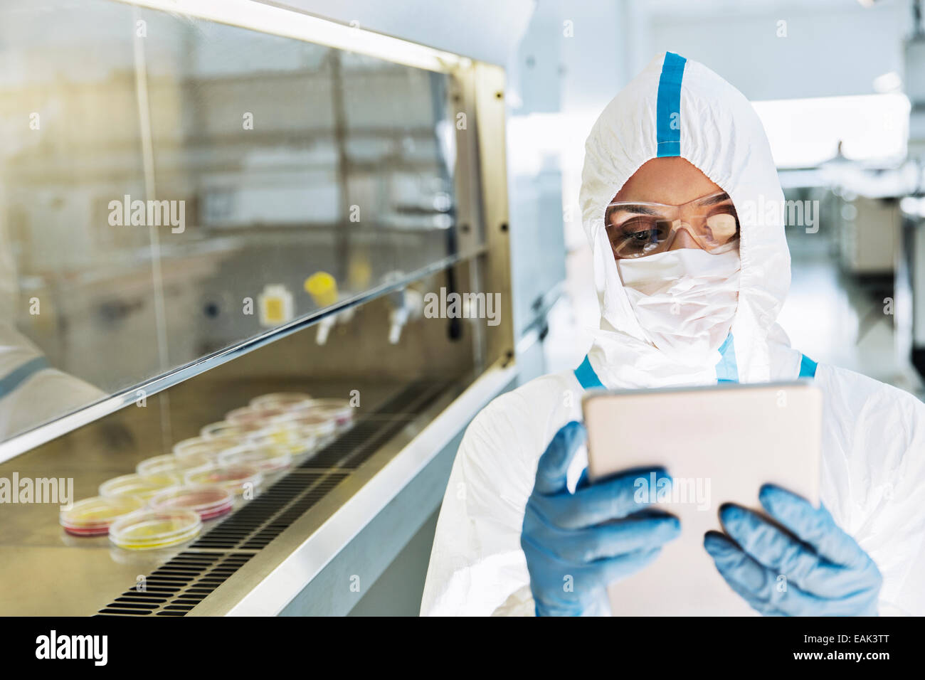 Scienziato in clean suit utilizzando digitale compressa in laboratorio Foto Stock