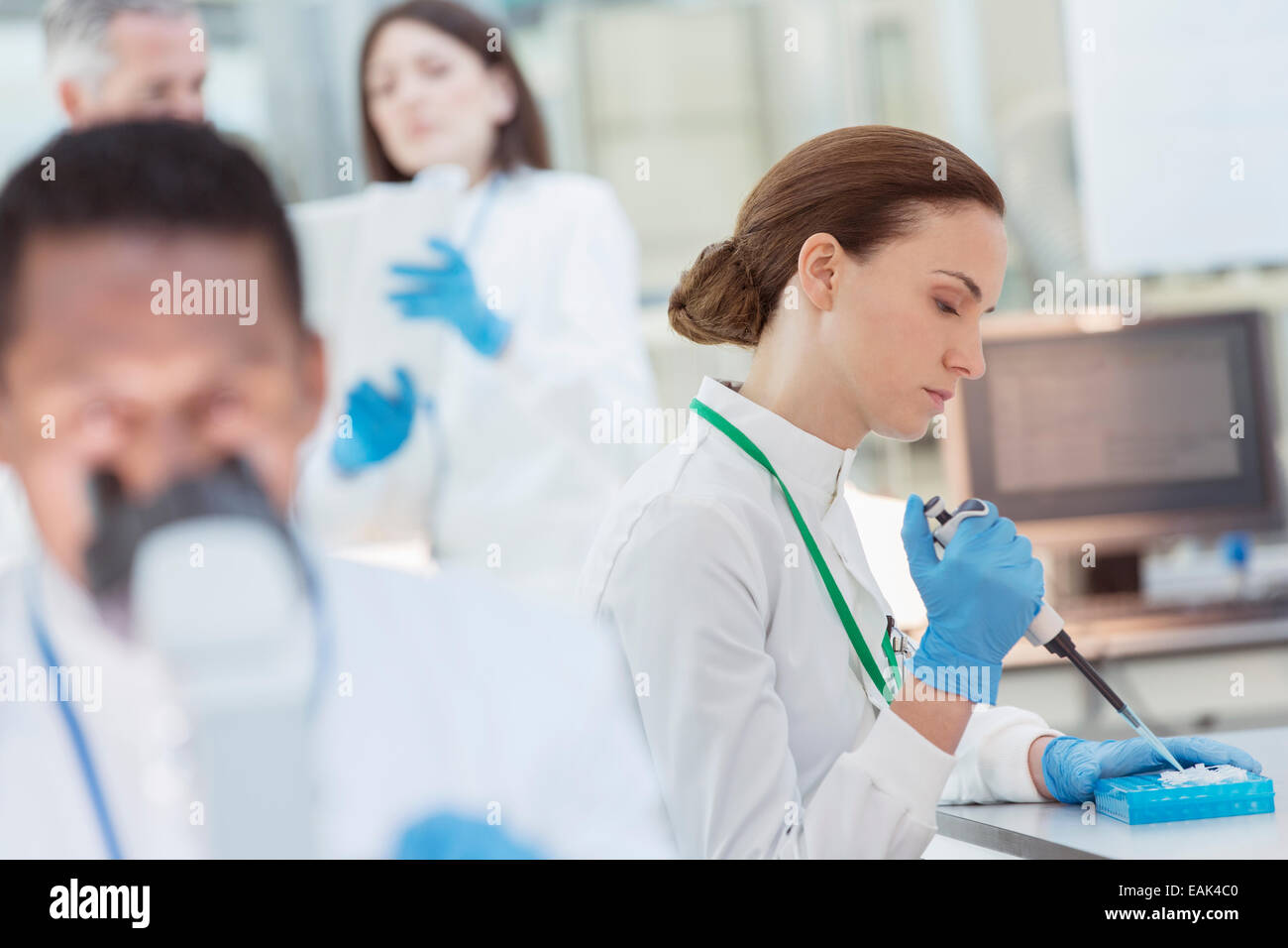 Scienziato campione di pipettaggio nel vassoio in laboratorio Foto Stock