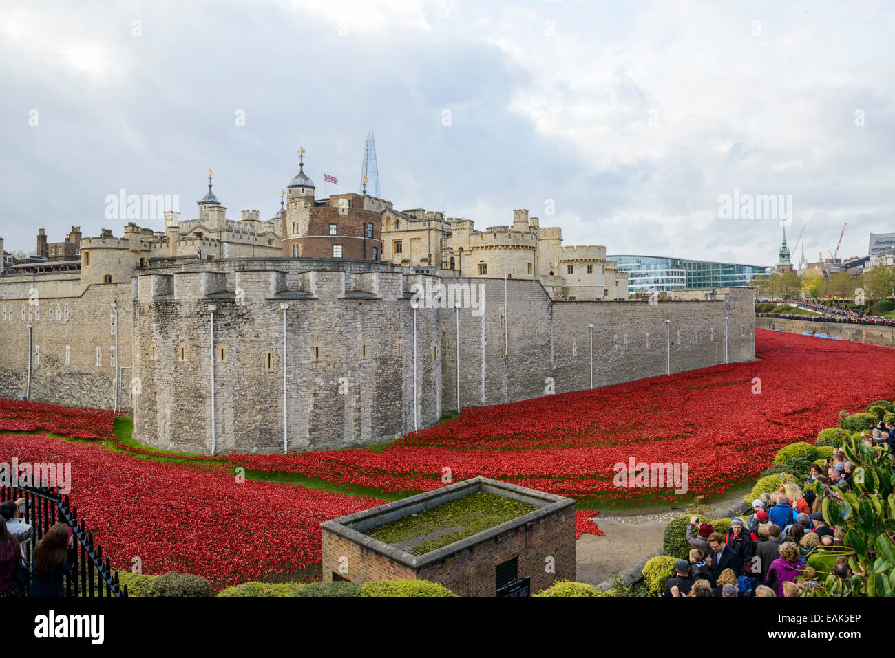 LONDON, Regno Unito - 08 novembre: " sangue spazzata di terre e mari di ROSSO' l'installazione presso la Torre di Londra. Novembre 08, 2014 a Londra. Il Foto Stock