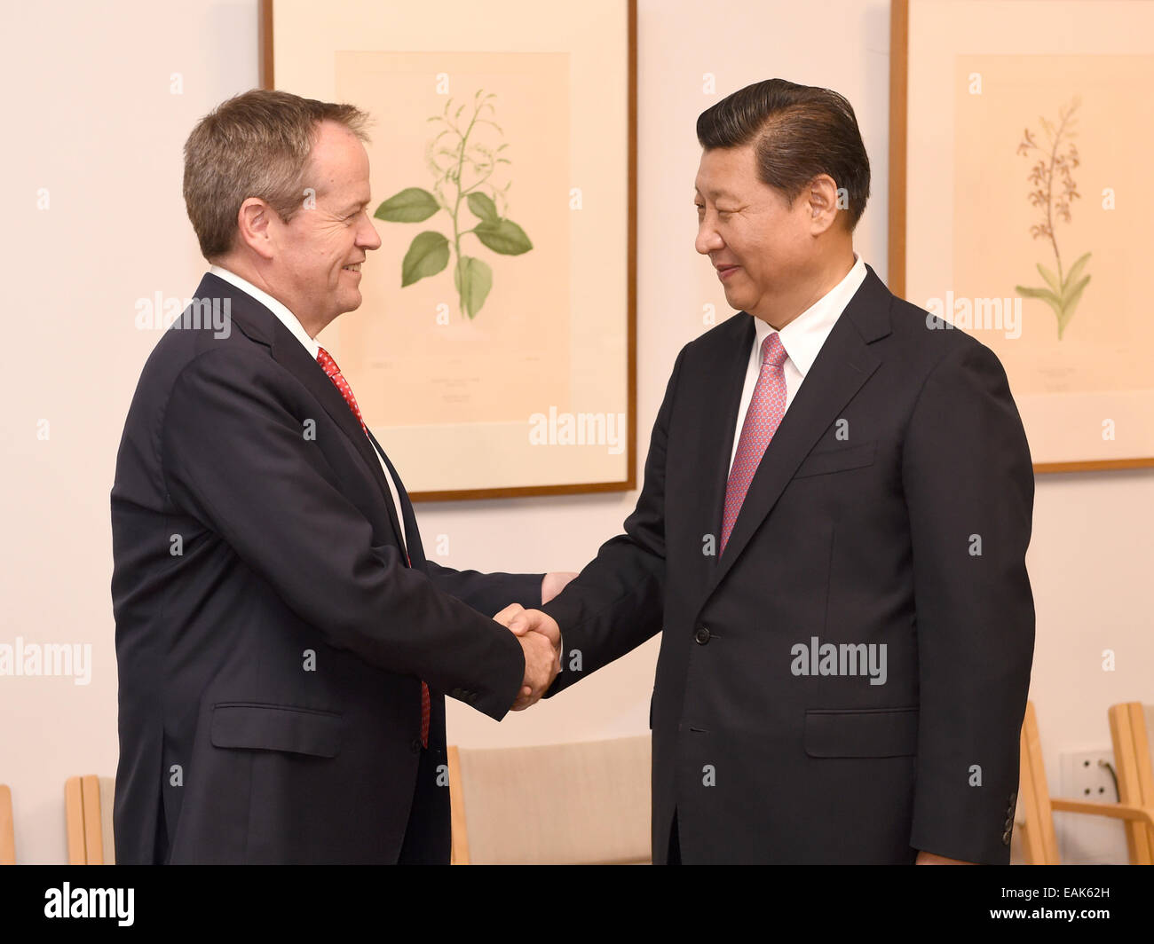 (141117) -- CANBERRA, nov. 17, 2014 (Xinhua) -- Il presidente cinese Xi Jinping (R) incontra Bill accorciare, leader dell'Australia partito laburista, a Canberra, capitale dell'Australia, nov. 17, 2014. (Xinhua/Ma Zhancheng) (wjq) Foto Stock
