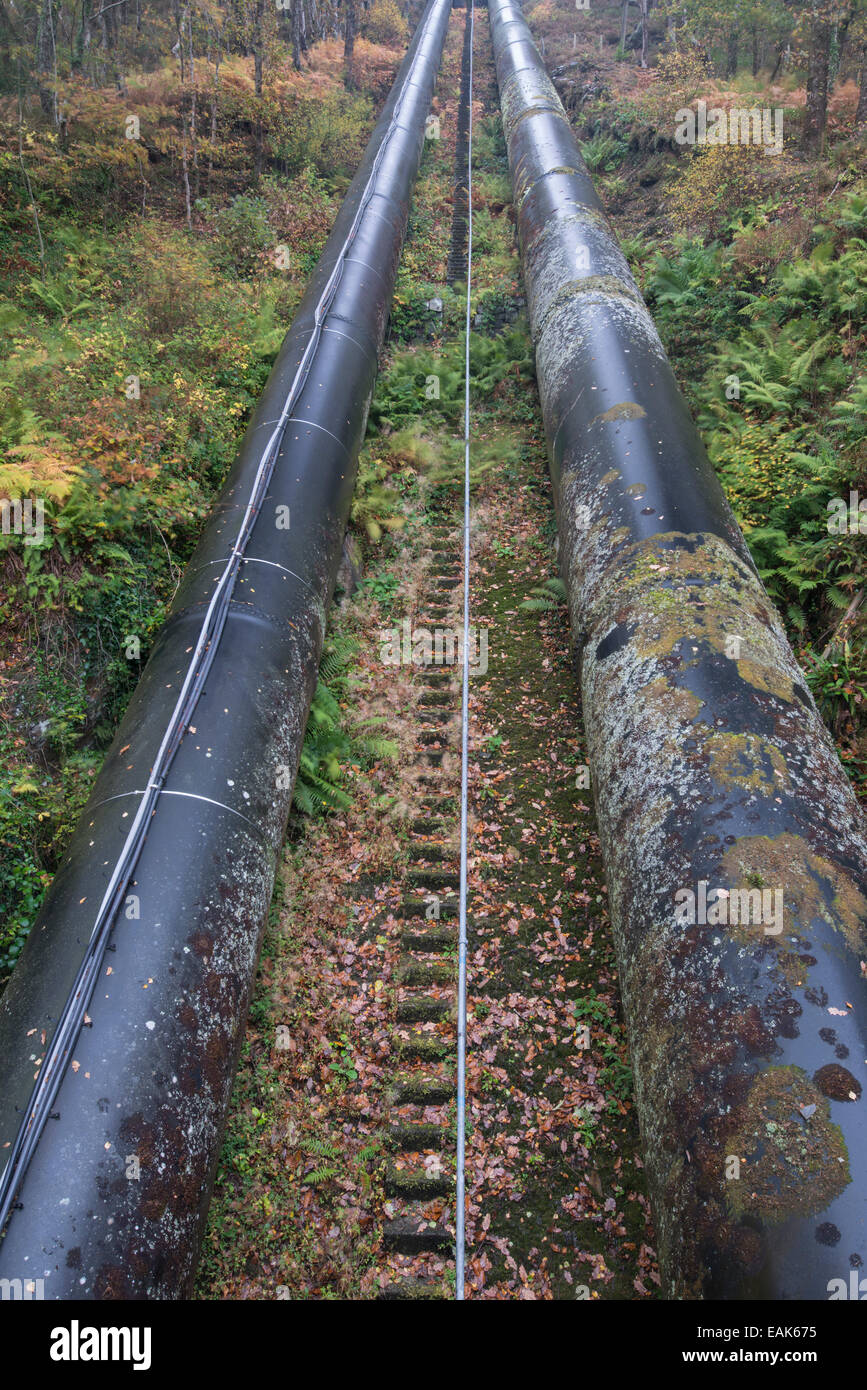 Potere idroelettrico. Tubi verso il basso versante attraverso la foresta. Maentwrog, il Galles del nord. Foto Stock
