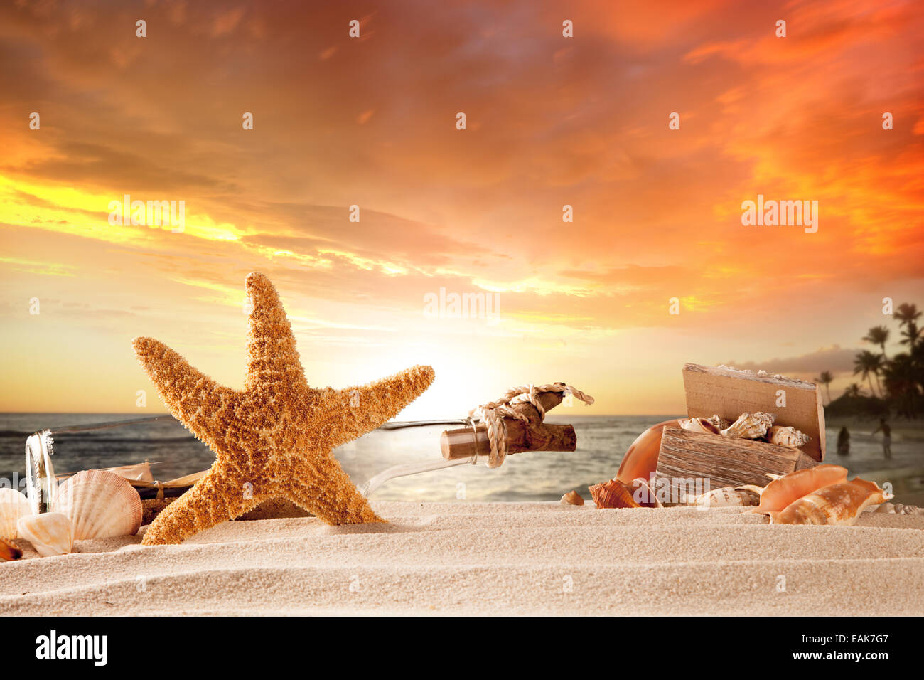 Concetto di estate con spiaggia sabbiosa, conchiglie e stelle marine. Foto Stock