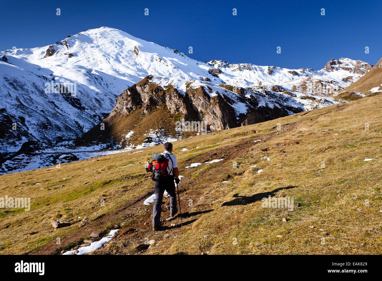 L'alpinista al di sopra del Labesebenalm pascoli di montagna, con Nornspitz Mountain nella parte posteriore, Alto Adige Provincia Foto Stock