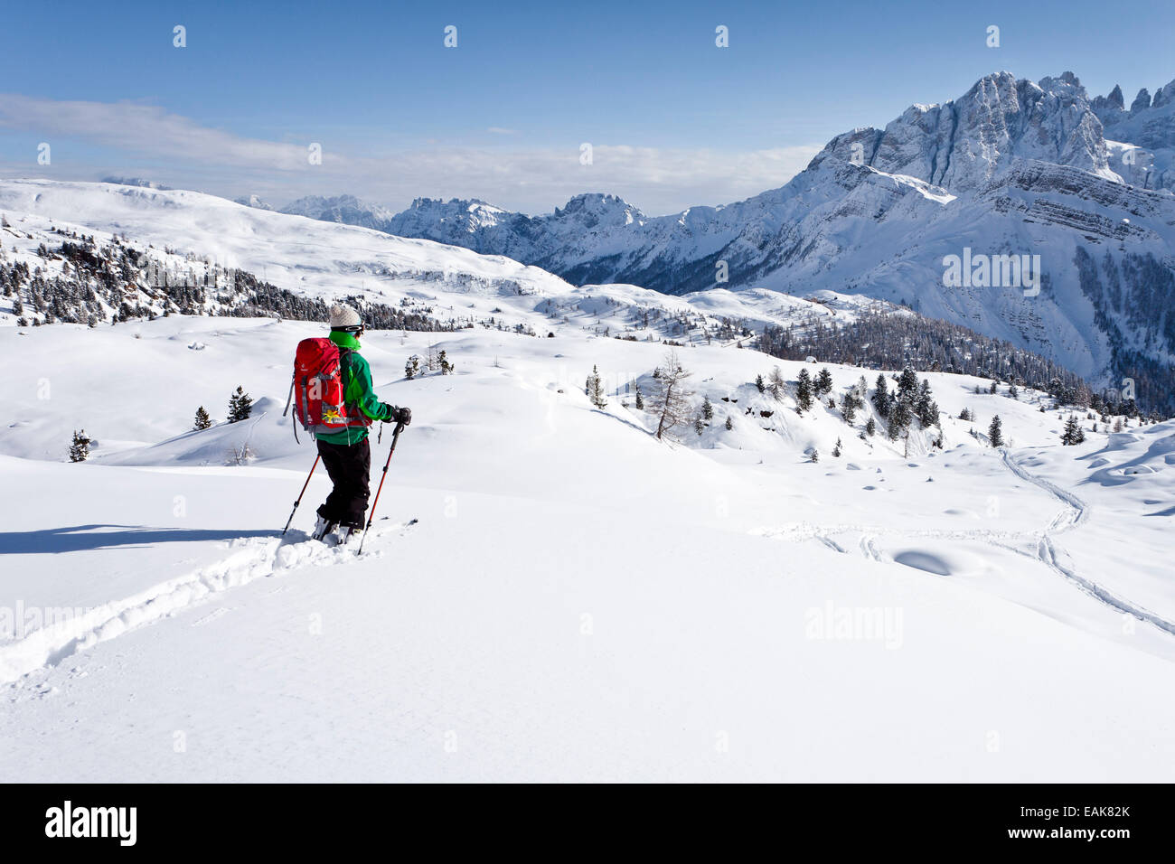 Cross country sciatore Juribrutto discendente di montagna, guardando verso la Pala di gruppo, con Passo Valles passano al di sotto di Foto Stock