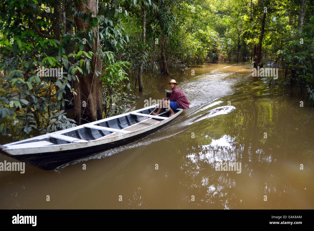 Uomo indiano di viaggio in barca attraverso la Várzea foreste, floodplain forest, Mamirauá-Nationalpark, Manaus, Amazonas Stato Foto Stock