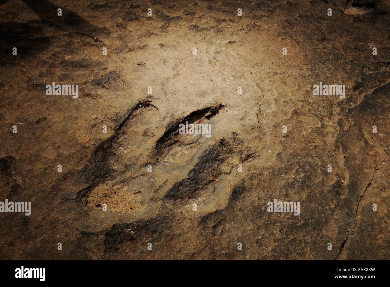 Molti milioni di anni fa i dinosauri hanno lasciato le loro ora orme fossilizzate nel fango di un letto del fiume, Managna, Regione Nord Foto Stock