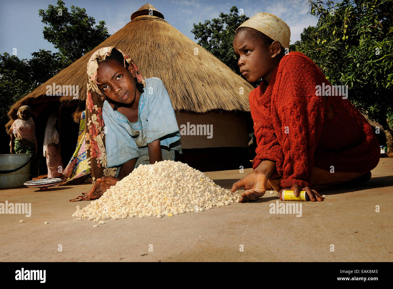 I bambini aiutano a preparare il cibo nel villaggio di Idool, Idool, Regione di Adamawa, Camerun Foto Stock