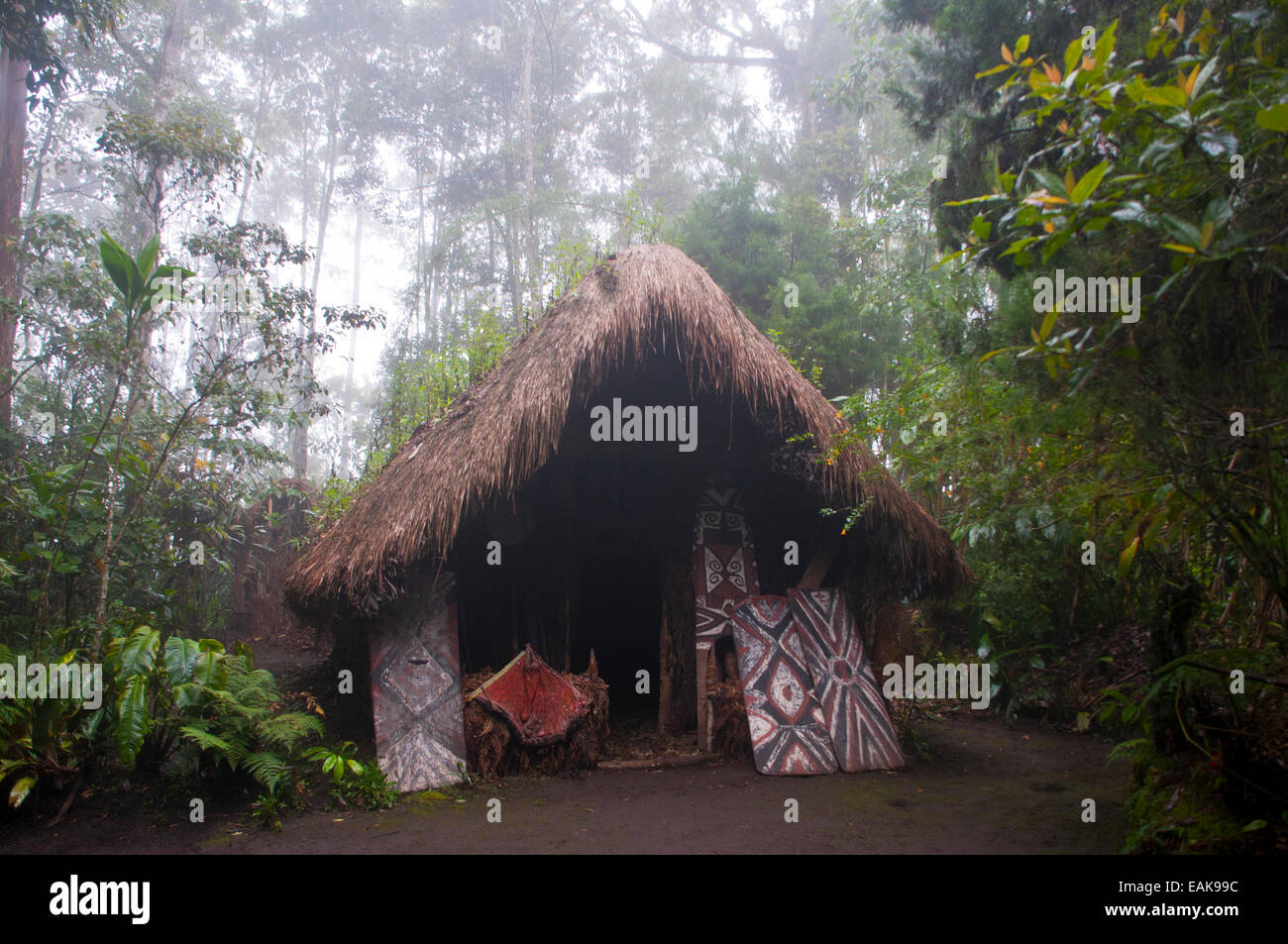 Capanna in un villaggio tribale, altopiani, Papua Nuova Guinea Foto Stock