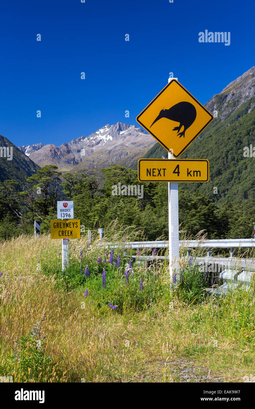 Segnale di avviso, 'Kiwi prossima 4km' a Grayneys Creek, guardando verso Mt. Oates, 2041m, regione di Canterbury, Nuova Zelanda Foto Stock