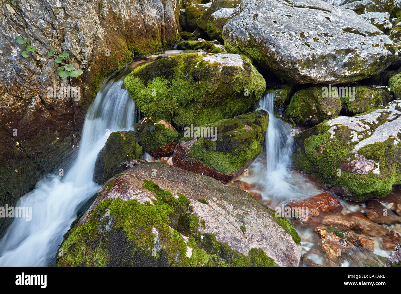 Sorgente del fiume Isonzo, Nationalpark Triglav, nella regione di Primorska, Slowenien, Zapodnem, Slovenia Foto Stock