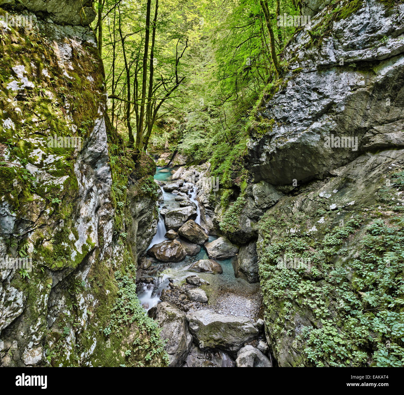 Tolmin Gorge, percorso di smeraldo, il Parco Nazionale del Triglav, Tolmin, Goriziana, Slovenia Foto Stock