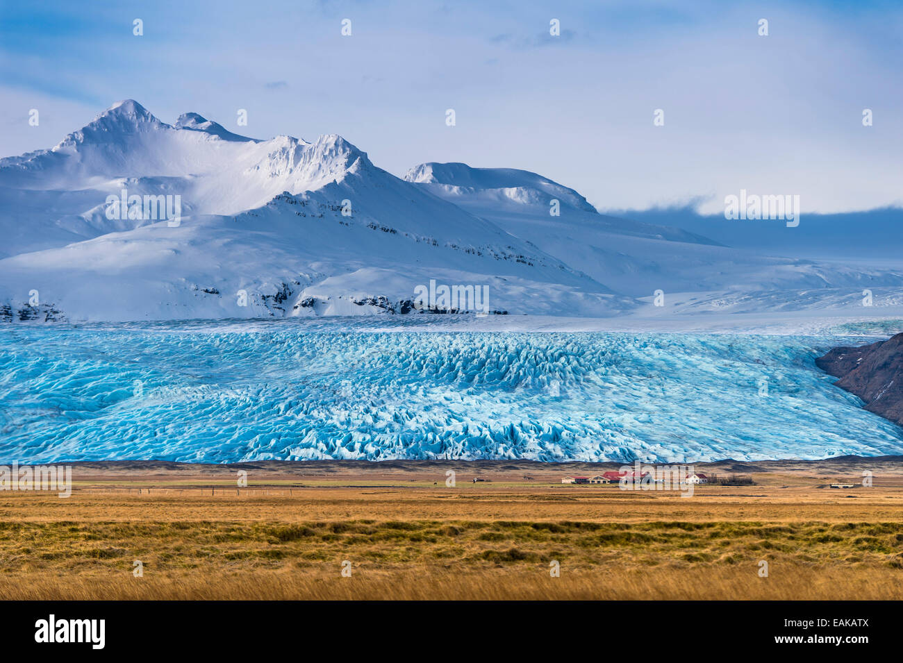 Cascina islandese con linguetta di ghiacciai e montagne coperte di neve, Höfn, Islanda Foto Stock