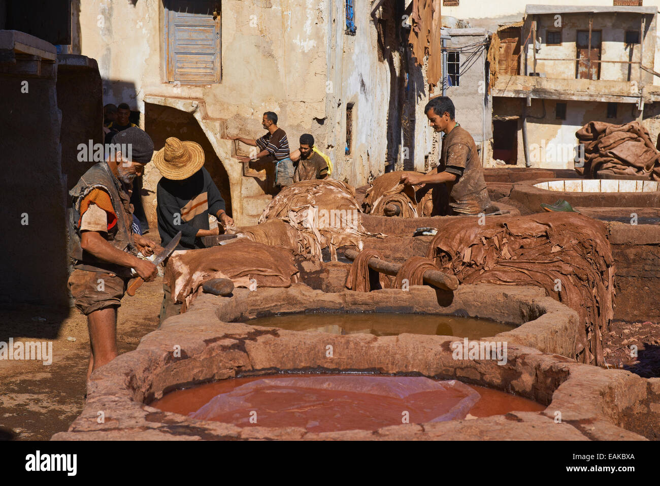 La conceria tradizionale con vasche morente, Chouwara, Chouara, Medina, sito Patrimonio Mondiale dell'UNESCO, Fes, Fez el Bali, Marocco Foto Stock