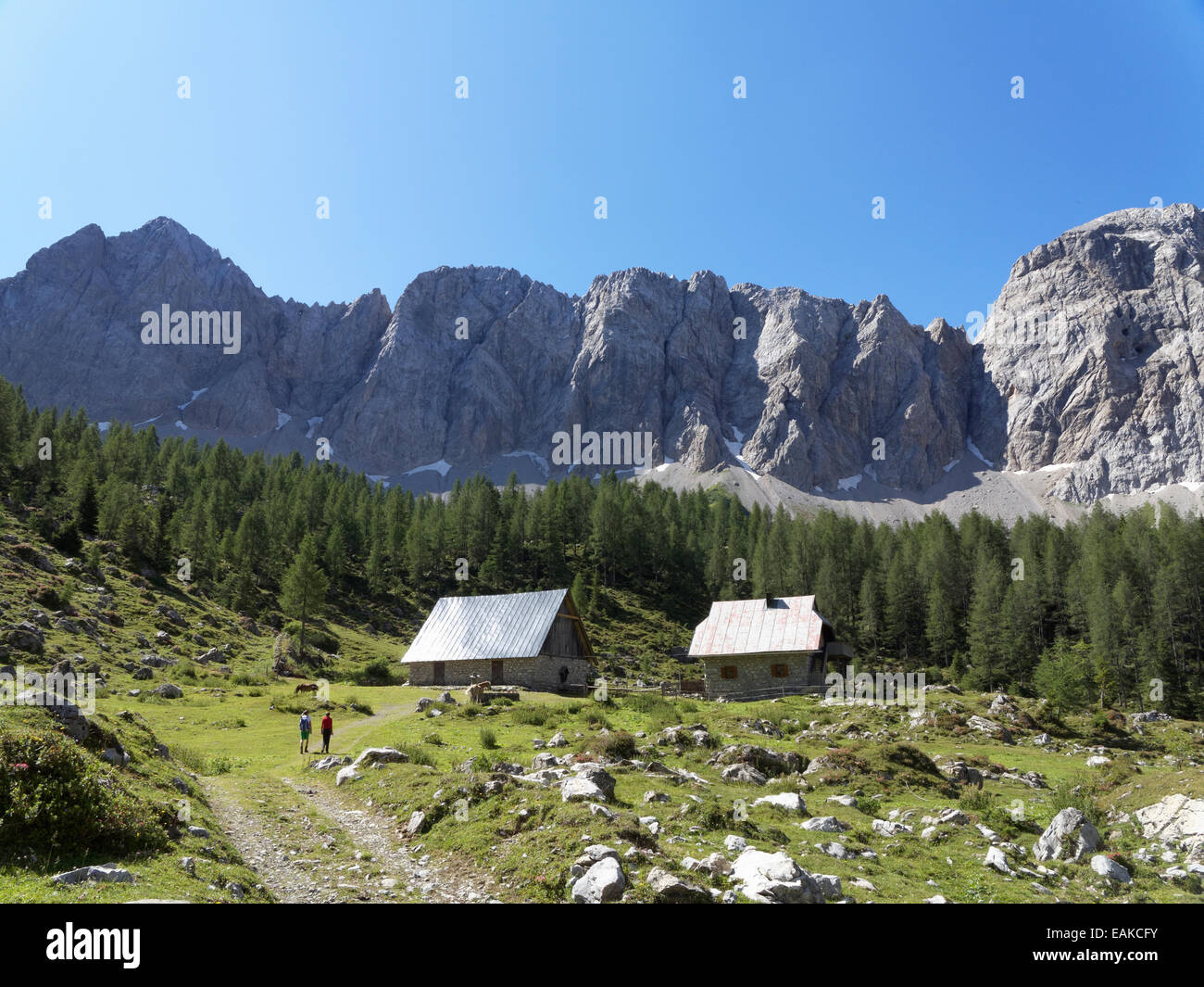 Obere Wolayer Alm pascoli di montagna, Biegengebirge montagne, le Alpi Carniche, Lesachtal, Carinzia, Austria Foto Stock