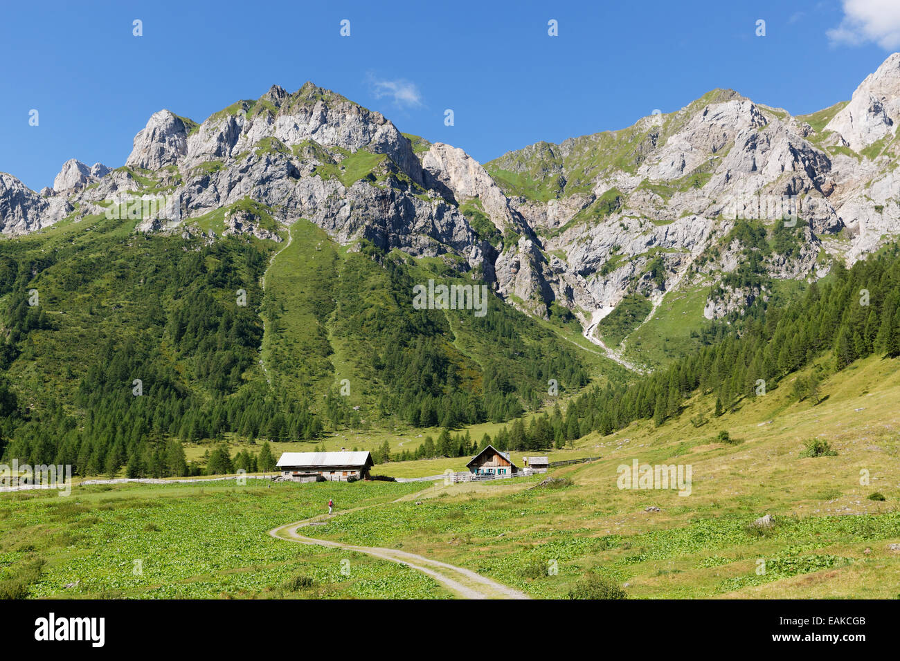 Ingridalm pascoli di montagna nella valle Frohnbach, le Alpi Carniche, Lesachtal, Bezirk Hermagor, Kärnten, Austria Foto Stock