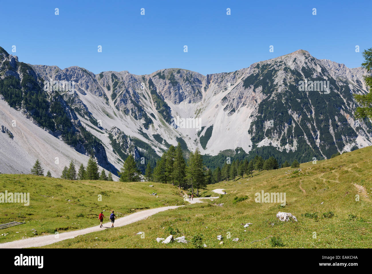 Matschacher Alm alpeggio con Hochstuhl montagna, Baerental o Bear Valley, Karawanks, Feistritz im Rosental, Carinzia Foto Stock