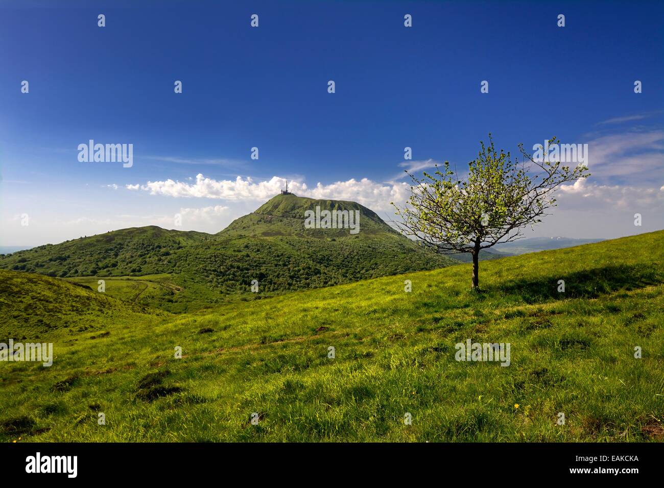 Vulcano Puy de Dome, parco naturale regionale dei vulcani dell'Auvergne, patrimonio dell'umanità dell'UNESCO, dipartimento di Puy de Dome, Auvergne, Francia Foto Stock