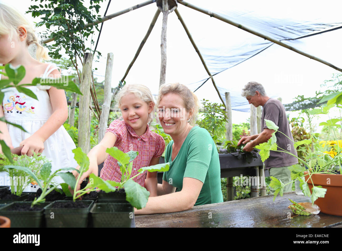 Donna sorridente con due ragazze guardando le piantine in serra, uomo in background Foto Stock