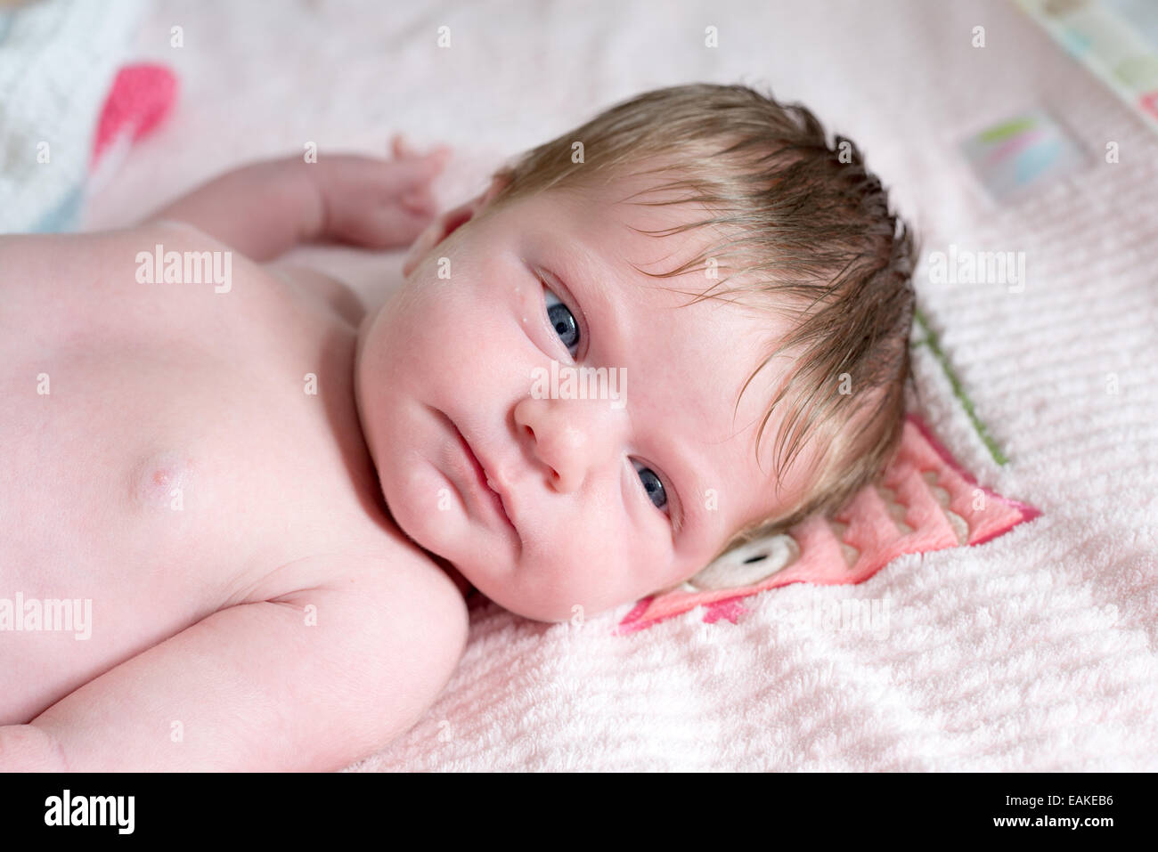 Una settimana di età neonato ragazza con un sacco di capelli Foto Stock