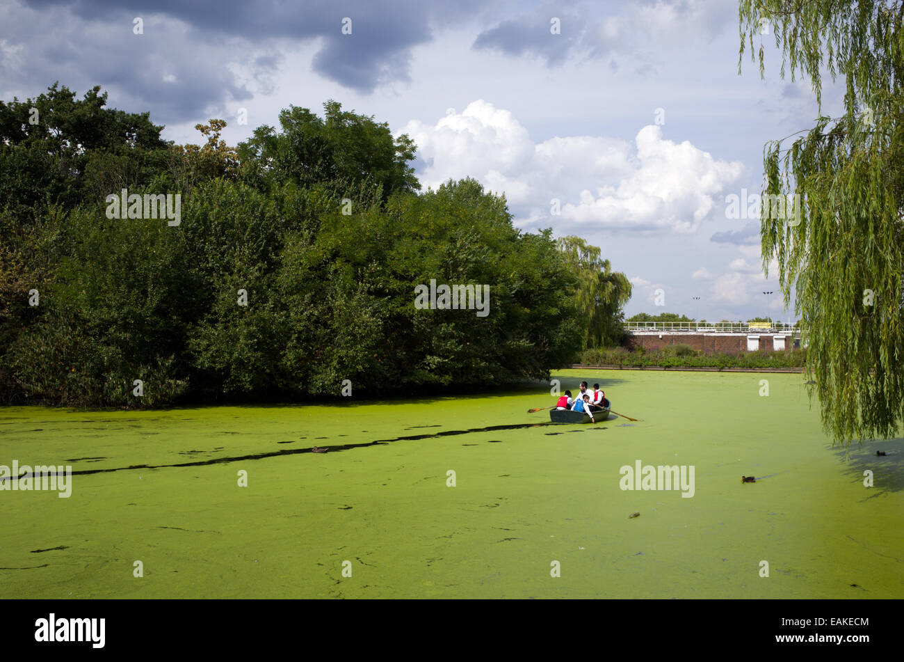 Le Alghe verdi in barca il lago a Finsbury Park, Londra, Inghilterra, Regno Unito Foto Stock