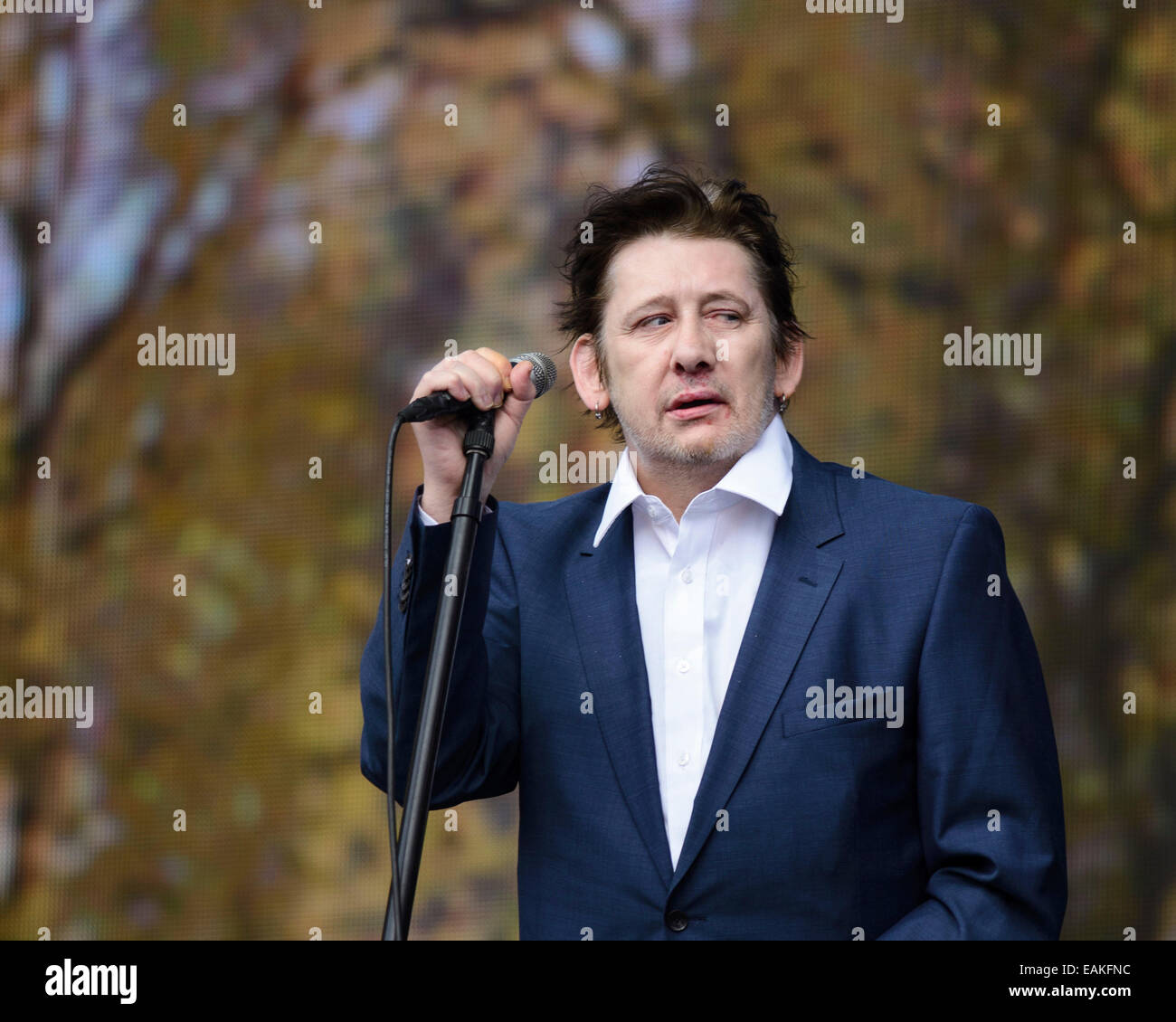 Londra, UK, 05/07/2014 : The Pogues giocare British Estate Hyde Park. Persone nella foto: Shane MacGowan. Foto di Julie Edwards Foto Stock