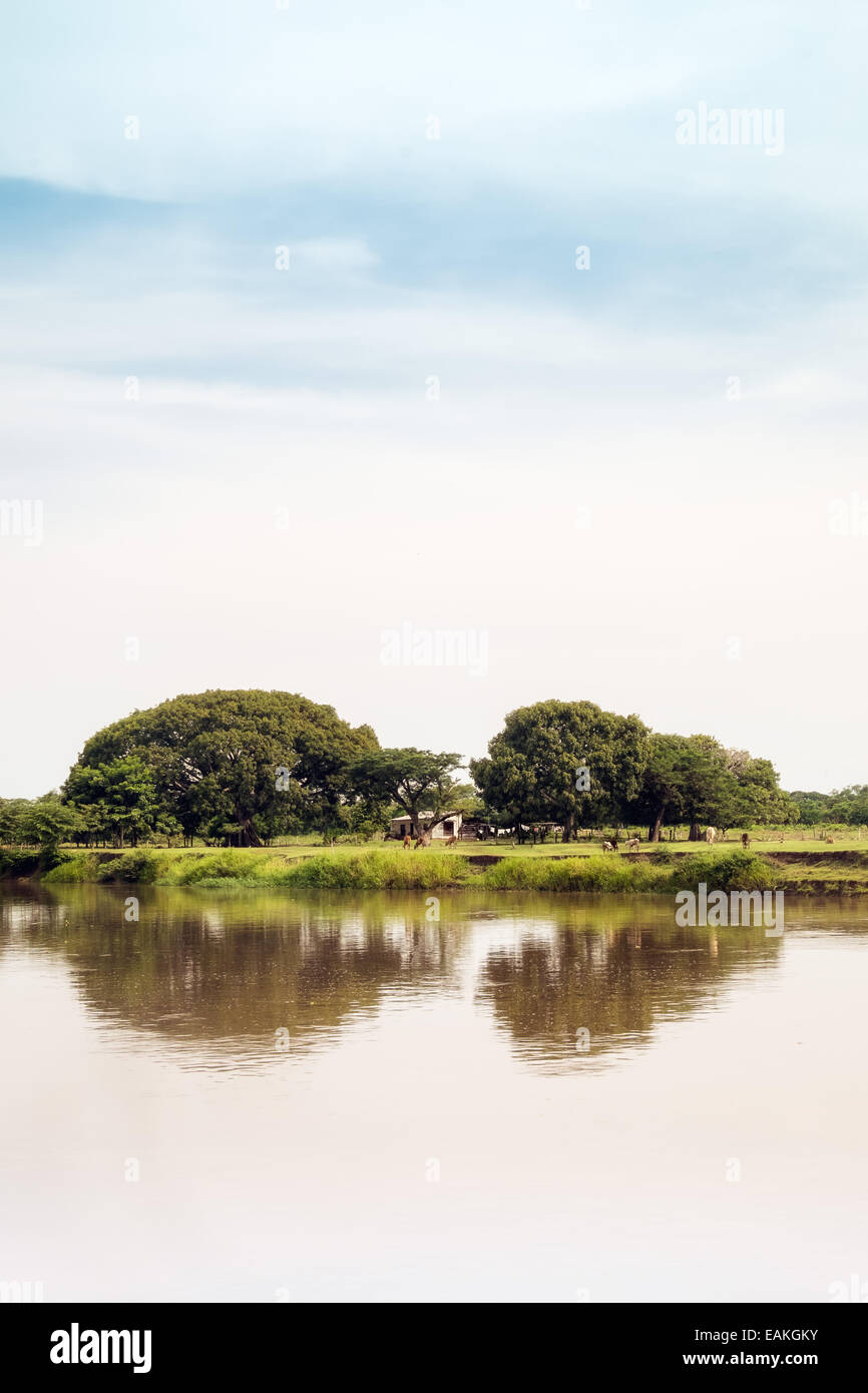 La riflessione di alberi nel fiume Magdalena Foto Stock