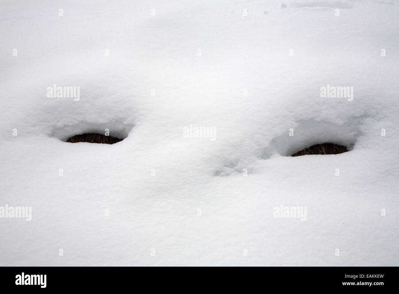 Fori nella neve in Selb, Germania Foto Stock