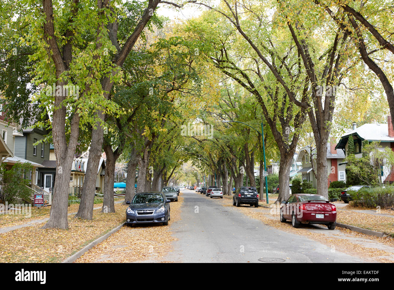 Il parco della città patrimonio residenziale quartiere saskatoon Saskatchewan Canada Foto Stock