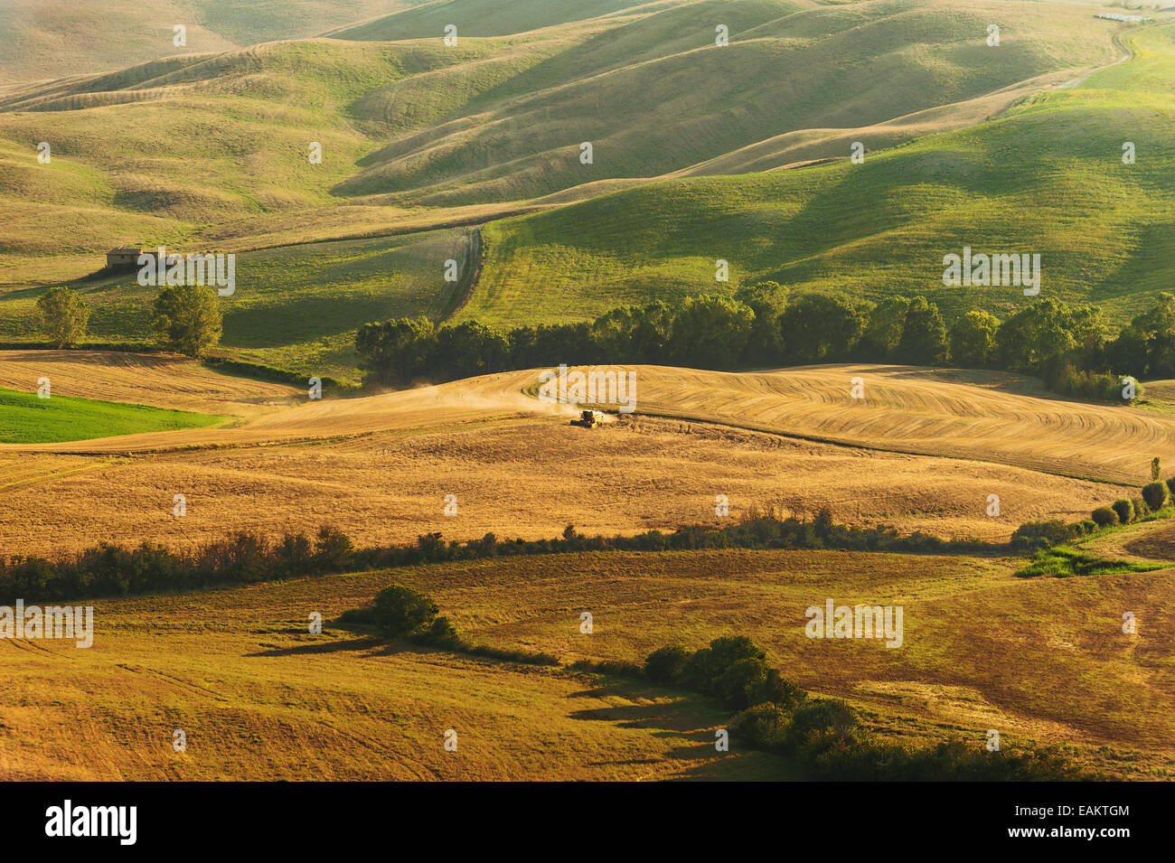 Paese in vista del paesaggio toscano da Pienza, Italia Foto Stock