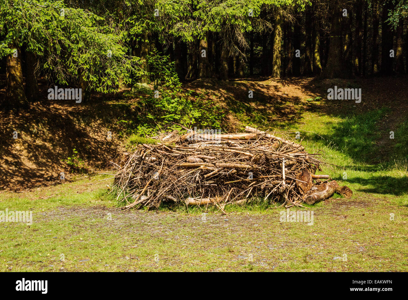 Un uccello da preda's Nest (modello) in Cumbria Parco Nazionale del Distretto dei Laghi Foto Stock