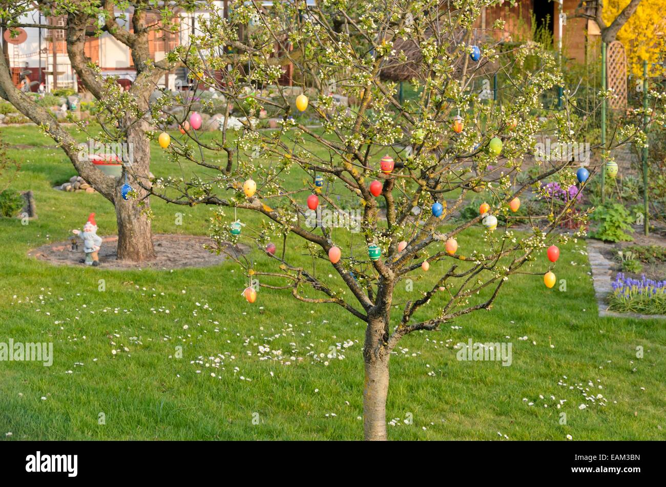 Albero con le uova di pasqua Foto Stock