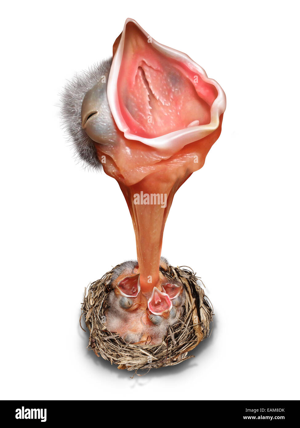 Ottenere attenzione nozione come un leader determinato bambino uccello in prospettiva forzata in piedi fuori dalla folla con un lungo collo nel nido gruppo come un simbolo di marketing della comunicazione aziendale e attirare gli investimenti su uno sfondo bianco. Foto Stock