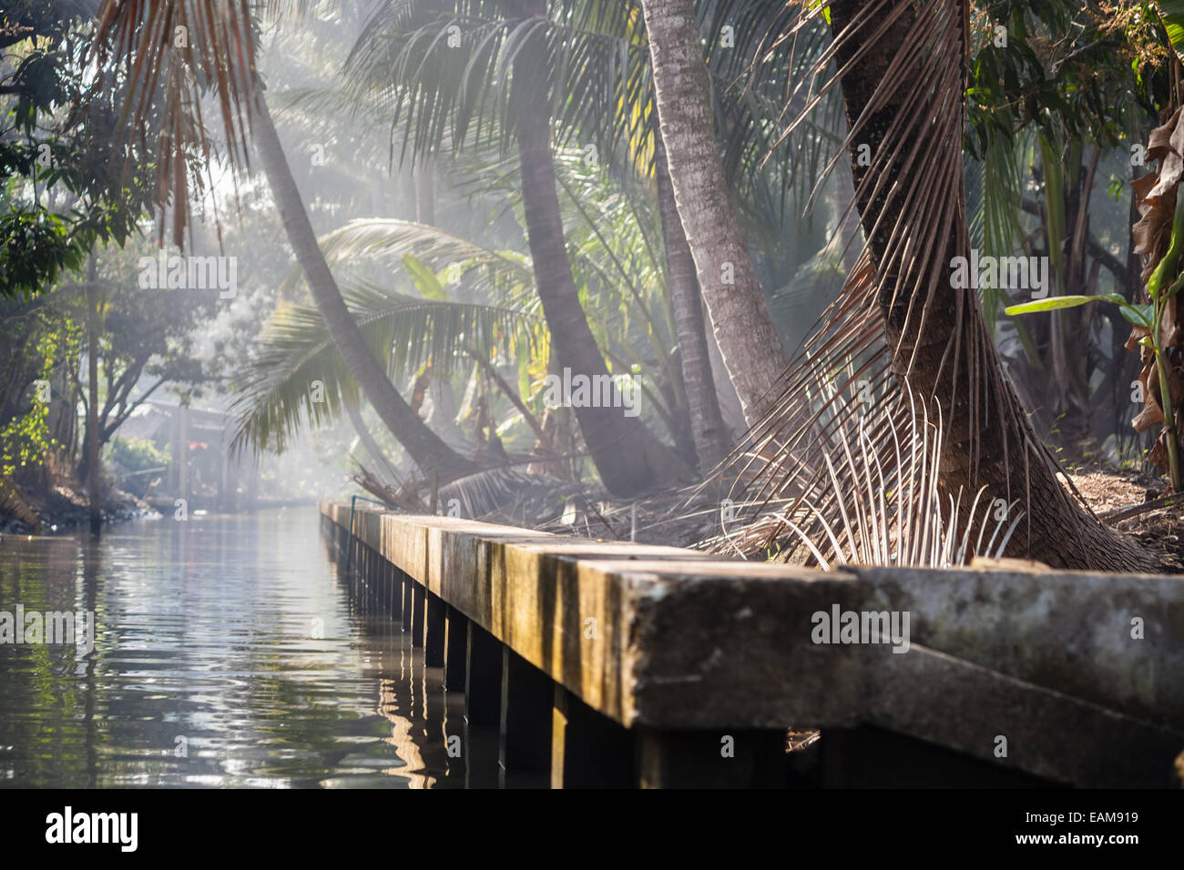 Un canale nel nebbioso giungla tailandese o di campagna nella provincia di Ratchaburi Foto Stock
