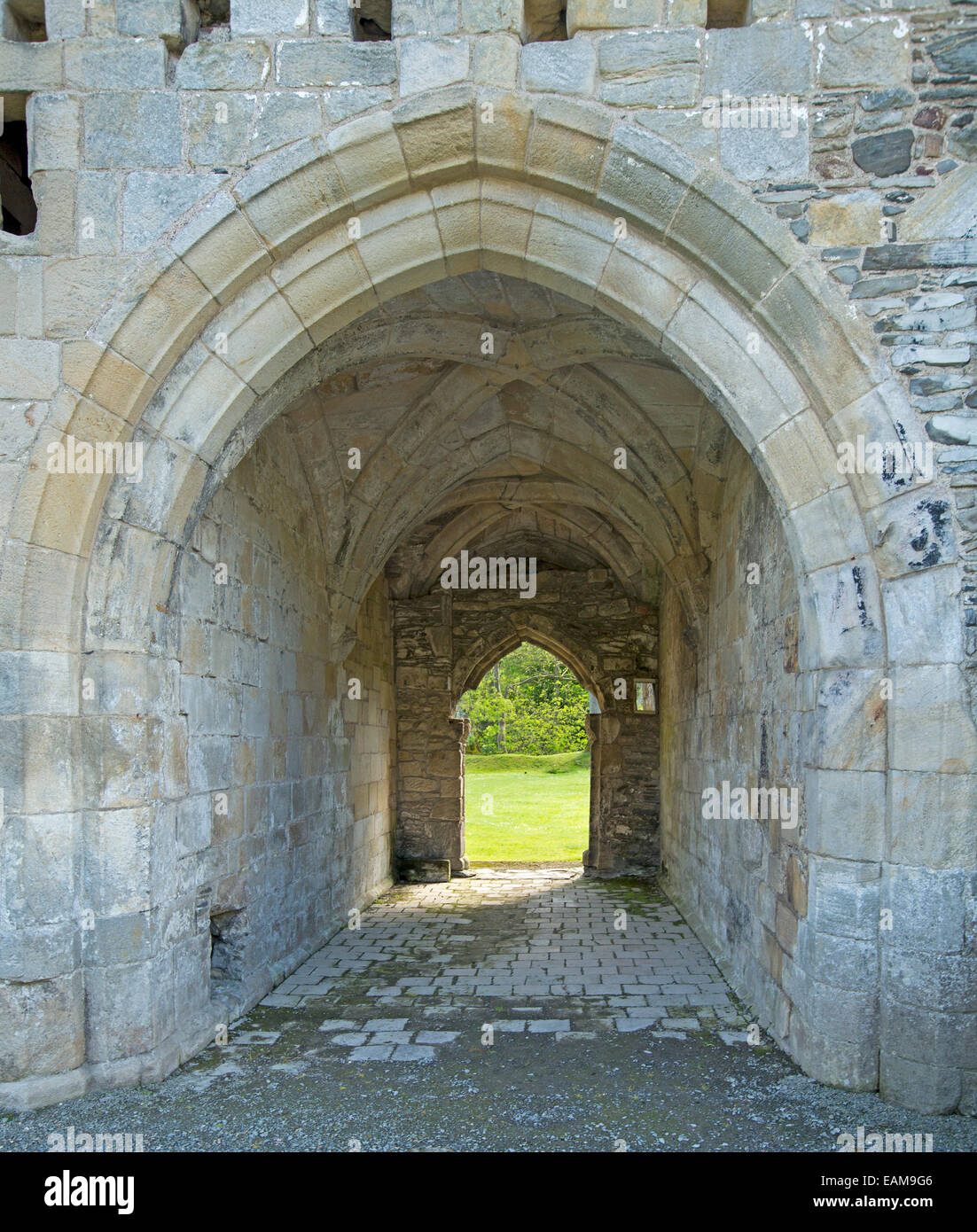 Ornati in ingresso ad arco attraverso il passaggio con soffitto a volta al XIII secolo Valle Crusis le rovine dell'abbazia vicino Llantysilio, Galles Foto Stock