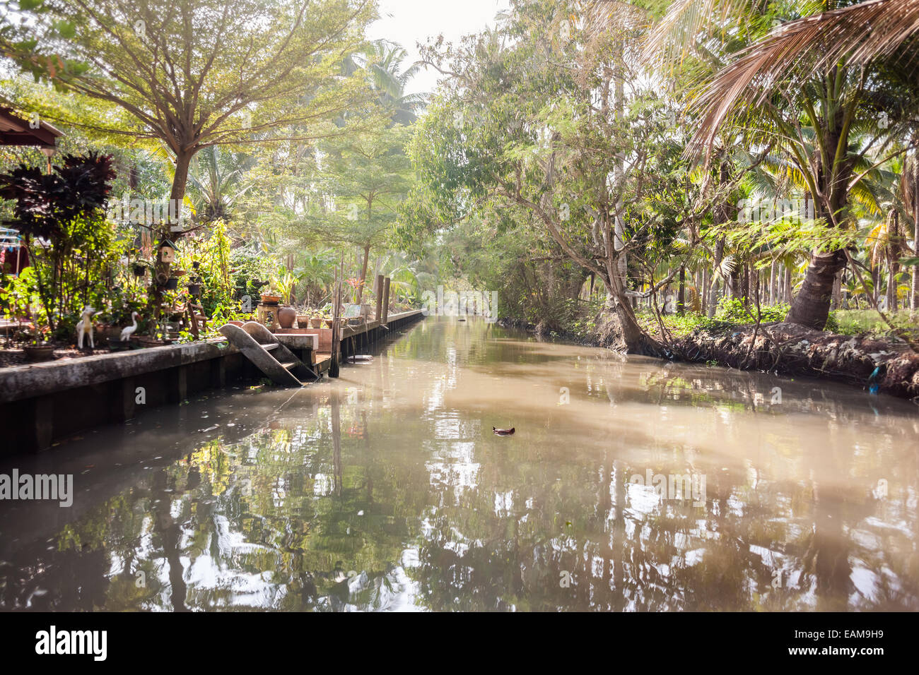 Un canale nel nebbioso giungla tailandese o di campagna nella provincia di Ratchaburi Foto Stock