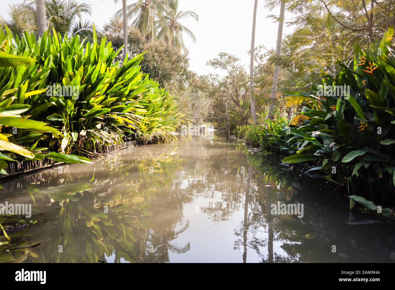 Un canale nel nebbioso giungla tailandese o di campagna nella provincia di Ratchaburi Foto Stock