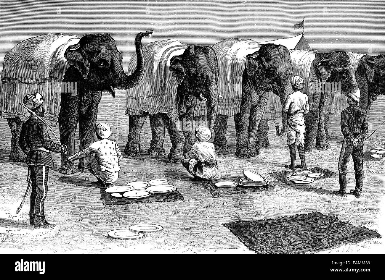 Gli elefanti in India, vintage illustrazioni incise. Journal des Voyages, viaggio ufficiale, (1879-80). Foto Stock